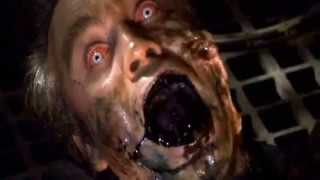 Noise Unit - Prostitute