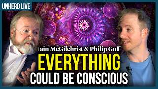 Iain McGilchrist & Philip Goff: Is the universe conscious?