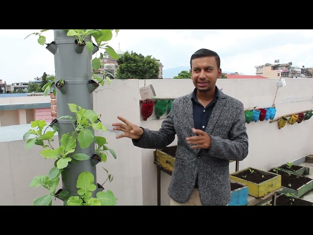 Roof Top Farming Demonstration Center at Namuna Machindra School, Lalitpur | V1