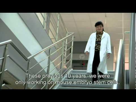 Freedom and independence for research