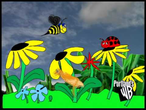 OMSI Grossology  White Blood