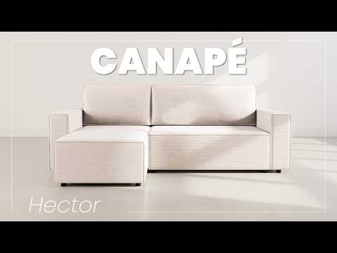 Miniature de la vidéo YouTube