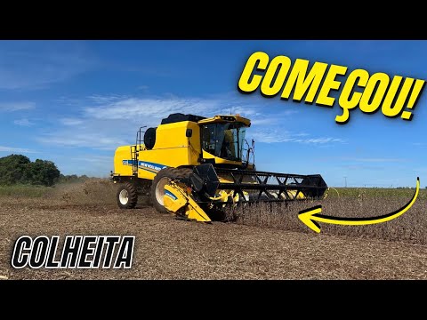 Começou a COLHEITA do GRÃO DE OURO! Colhendo com a TC 5.90 🤩🫛