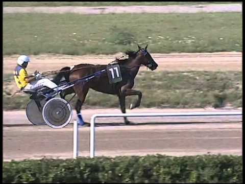 Trotto 09/09/2014 - 1° corsa