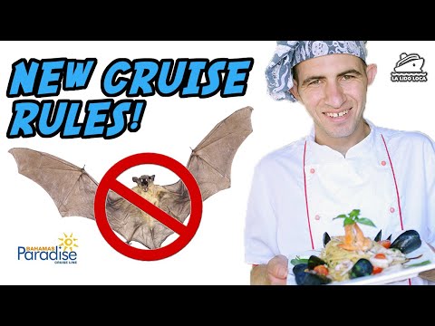 Bahamas Paradise to Cruise in July with these NEW Health Rules