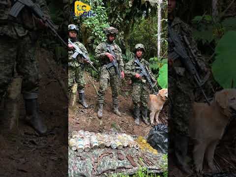 🚨 Ejército frustró un plan explosivo en El Tambo, Cauca #judicial