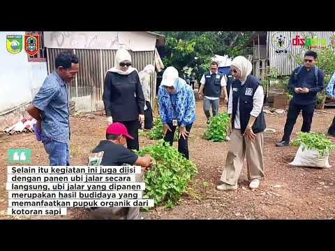 Kunjungan Dari Dinas Perkebunan & Peternakan serta Komisi || DPRD Prov Kalsel Melihat Langsung Potensi Dari Gapoktan Desa Pulau Sari