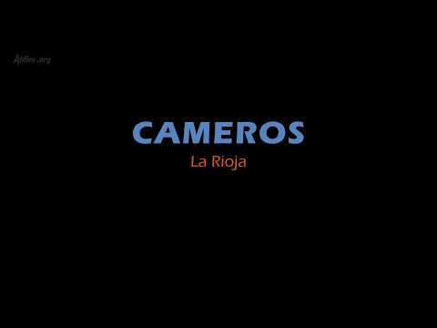 V�deo Cameros