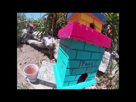 A Very Large Birdhouse Neighborhood From Castles to Studios.  Check out all the wonderful Houses.