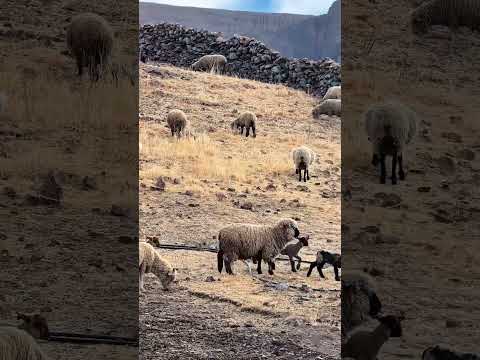 Día 25: Mostrandote por qué le dicen #SaltaLaLinda 🌄 hasta llegar a 1 millón de seguidores.