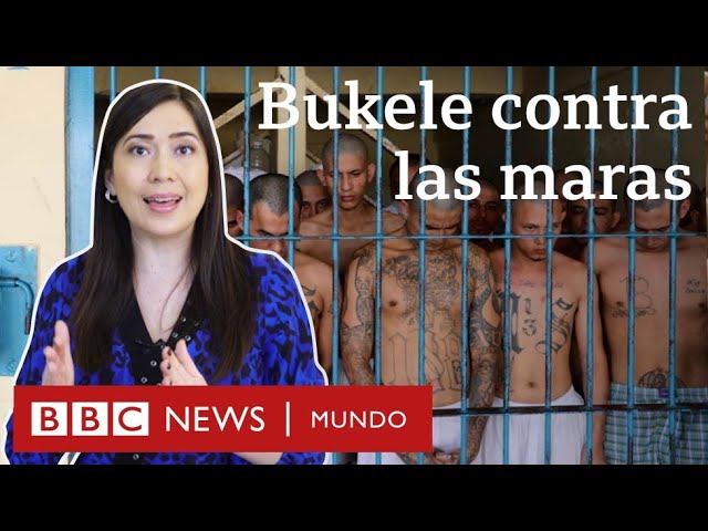 Pronúncia de vídeo de Bukele em Espanhol