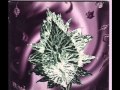Butterfly Child - A Breath of Fresh Air 