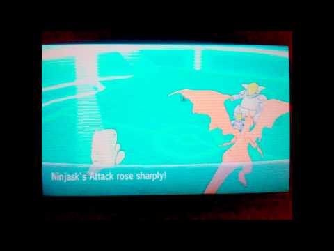 Epic Pokemon X Metagross Sweep