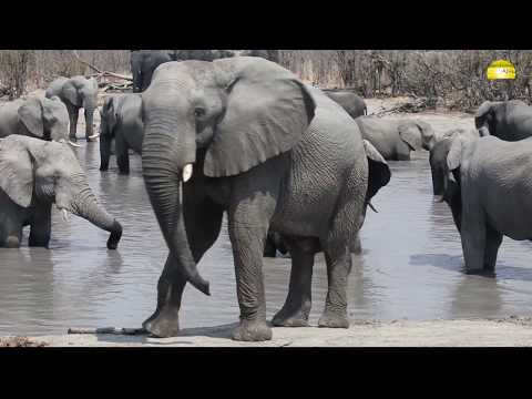 Hyena Pan Camp, Okavango Delta, Botswana - © Abendsonne Afrika