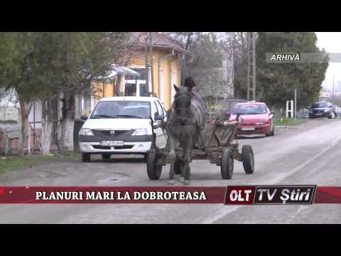 PLANURI MARI LA DOBROTEASA 0502