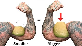 Beyond 8 Bicep Exercises: Peak Contraction Secrets