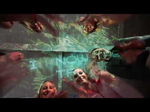 Fedde Le Grand x Melo Kids x Mila Falls - I Used To Think (Darklight Sessions) - Unofficial Video