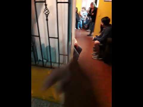 Cómo romper globos , baile, conejos , Etc .