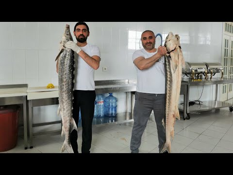 Asetrin və Sivryuqa balığı kababı