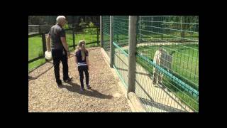 Olivia Binfield Visits WHF (HD).wmv