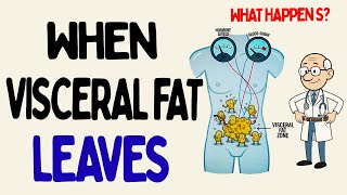 What Happens to Your Body When Visceral Fat Begins to Let Go ?