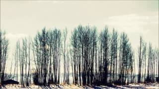 Joel Harrison - Riding On The Midnight Train