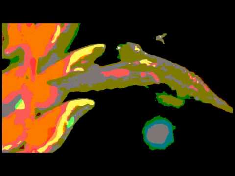 Solange Borges   "Descobrindo"