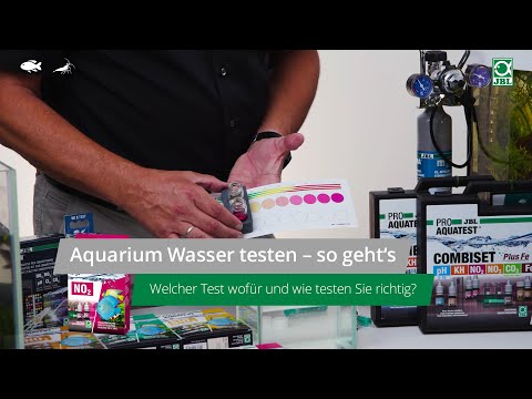 JBL TV #27: Aquarium Wasser testen – so geht‘s