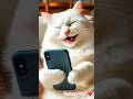 Laughing Cat Shorts Laughingcats Shortsfeed