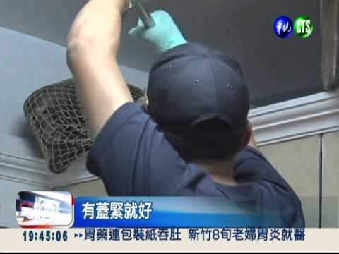 潑猴大鬧民宅 警消麻醉槍"抓猴"