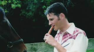 Ween - Mister Would You Please Help My Pony? [Music Video]