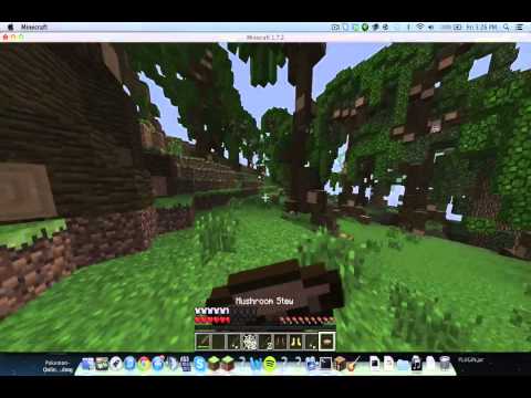 Minecraft Hunger Games - Episode 11 - "Contest!"