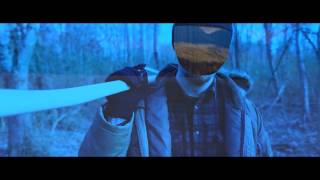 "Frozen Heart" Lyric Video - The Hawk In Paris