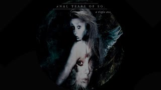 Eternal Tears of Sorrow  - The River Flows Frozen (​Clean Vocals)