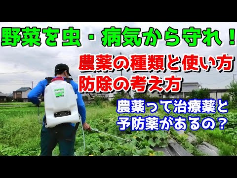 SGH09: 水生環境に対する危険性