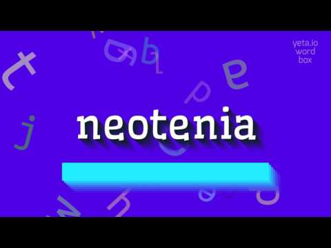 NEOTENIA - HOW TO PRONOUNCE NEOTENIA? #neotenia