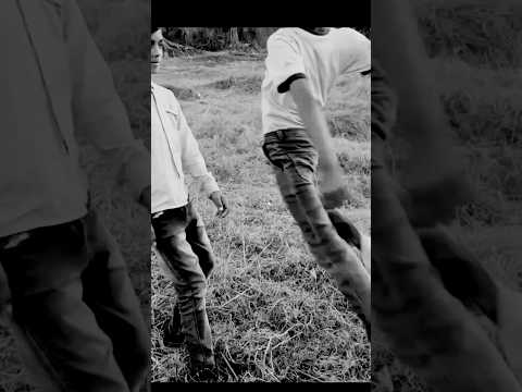 ft Daku Dadboi #shorts 😈🔥#gangster #viralshorts #trending #viral 😎 #ank 🥵#attitude #ytshorts