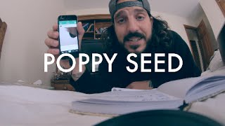 POPPY SEED | Mike Falzone feat. Vine