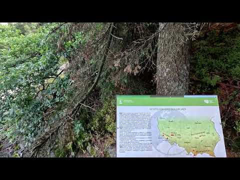 Góry Świętokrzyskie - Łysa Góra - Gołoborze (4K)