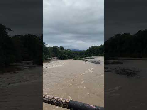 Río Churuyaco: Crecido por las fuertes lluvias que hay en el municipio de Orito Putumayo #travel