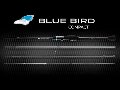 Огляд нового Favorite Blue Bird Compact
