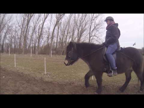 Sunna und Lena 29 01 2017