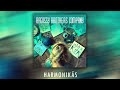 Bagossy Brothers Company Harmonika s Bagossy Brothers Company Harmonika s