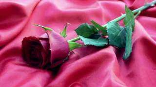 Tamara  &#39;&#39;Gracias&#39;&#39;