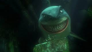 Pricurando Nemo - Reuniao dos Tubaroes