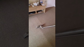 Hot water extraction carpet cleaning 
