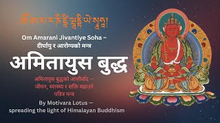 Download lagu Om Amarani Jivantiye Soha – दीर्घायु र आरोग्यको पवित्र मन्त्र | Amitayus Buddha Long Life Mantra mp3 Download lagu Om Amarani Jivantiye Soha – दीर्घायु र आरोग्यको पवित्र मन्त्र | Amitayus Buddha Long Life Mantra mp3