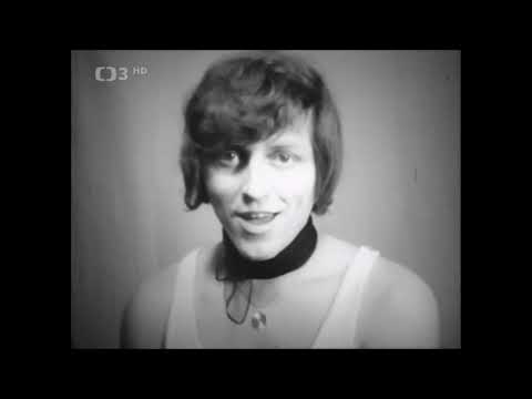Václav Neckář - Evelýna (1971)
