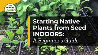 🌱 Starting Native Plants from Seed Indoors: A Beginner's Guide 🌱