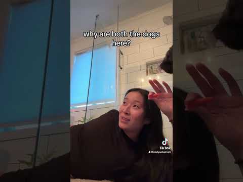 i'm doing my #enema after not pooping for DAYS  #ibs #constipation #constipated #ibsrelief